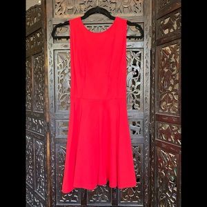 American Apparel Skater Dress